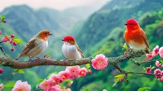 Soothing music for nerves🌿 healing music for the heart and blood vessels, relaxation, music for soul