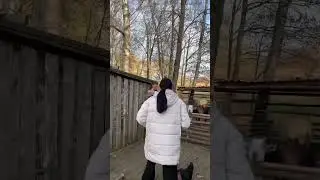 Это был второй опыт съёмки модели с курицей. Ловили мы эту курицу дольше чем снимали 😂