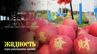Жадность Отрава из Китая (18.08.2015) HD