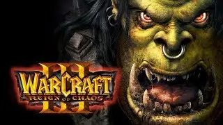 Играю в WarCraft 3 с друзьями