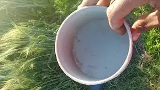 Chautha Pani khet mein, blog of your field, kheton ke blog, blogs of PK