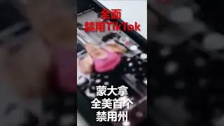 全美首个！蒙大拿州全面禁止TikTok 
