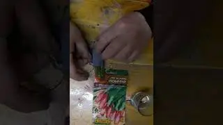 #Сад