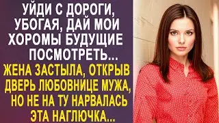 - Уйди с дороги, дай мои хоромы посмотреть - жена застыла, открыв дверь любовнице мужа...