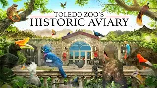 Zoo Tours: The Historic Aviary | Toledo Zoo