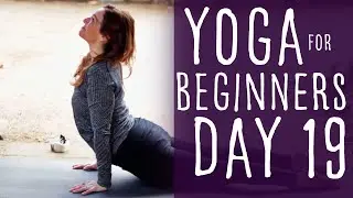 Yoga For Beginners At Home (20 min) 30 Day Challenge Day 19