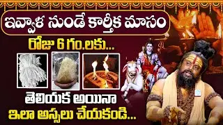 Karthika Masam Deepam Rules || Karthika Masam Deeparadhana || Shiva Rudra Sadhu | #karthikamasam2024