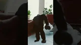 лепка Кинг Конга из пластилина у бабушки