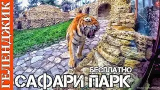 ГЕЛЕНДЖИК #88 САФАРИ ПАРК 23.02.19 VLOG