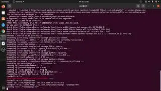 I'll Do Django Framework On Ubuntu Linux 20.04 LTS (2)