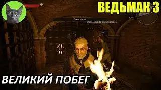 Ведьмак 3 - Интересности - Великий побег