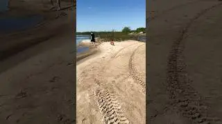Собачья жизнь🤍