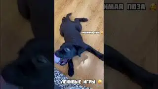 Любимая поза 🥰 
