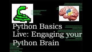 Python Basics Live Stream Engaging Your Python Brain || Solving a Discord Question
