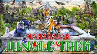Zoo Tours: Asia | Maharajah Jungle Trek | Disney's Animal Kingdom