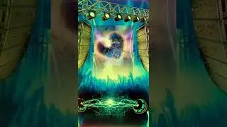 Sua melhor imagem visual Design Japinha Stylus