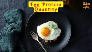 How Much Protein in an Egg? (Raw, Jumbo, Large, Medium, Boiled, Fried,  Scrambled Egg)