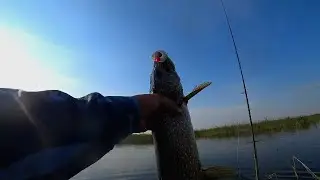 ЕСЛИ ДОЛГО МУЧИТЬСЯ ЧТО НМ БУДЬ ПОЛУЧИТСЯ, И БУДЕШЬ С УЛОВОМ!!!!