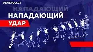 Нападающий удар в волейболе. Выход под мяч. Обучение.