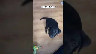 Будешь яблочко?🍏