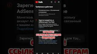 Не густо! Уже крик души просто. Нас всего 0,07%. Телеграм или Ютуб и адсенс.