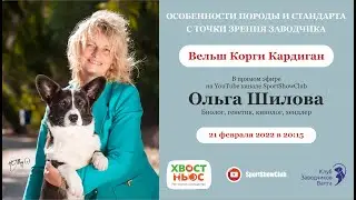 ВЕЛЬШ КОРГИ КАРДИГАН / Спикер - Шилова Ольга Борисовна