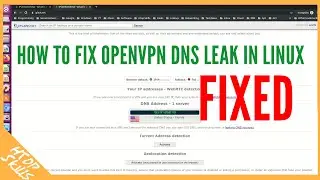 How to fix openvpn dns leak in linux