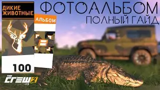 The Crew 2 | Фотоальбом Дикие Животные Offroad | Прохождение