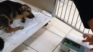 Через неделю будем гонять мяч