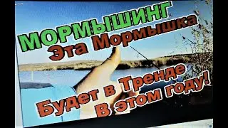 МОРМЫШИНГ!  ЭТА МОРМЫШКА БУДЕТ В ТРЕНДЕ В НОВОМ ГОДУ!