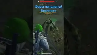 Фарм панцирной верлиоки 