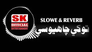 Tokhe Chahyo Sen Zindagi Wange Slowed Reverb Sindhi Song