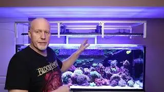 A @RobBzReefReef Light Review - Quanta Pro & ReefFi UNO