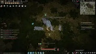 Black Desert Фарм Серебра / Лучший спот в игре по сбору Мяса