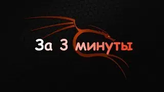 Устанавливаем и запускаем Kali Linux за 3 минуты