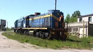 Тепловозы ТЭМ15-143 и ТЭМ2-5609 / TEM15-143 and TEM2-5609