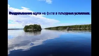 Разделывание щуки на филе в походных условиях.