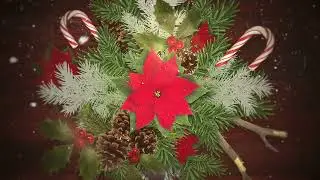 Animated Christmas Closeup White Snowflakes on Candy and Green Branches | 4K | FREE TO USE