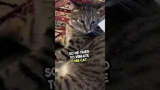 The Perfect Cat Horror Sound 😭 #animals #love #shorts