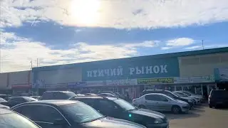 Хочу в Москву! На птичий рынок Садовод!