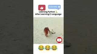 Python Vs C Meams😂 | 