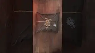 Пришла посылка от SKALD. Что в ней?