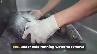 .Master the art of cleaning fish. ....a step by step guide.