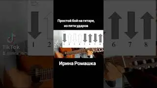 Бой пятёрка, на гитаре.  Ирина Ромашка