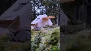 Kampımıza Kurt Geldi 🐺 #camping