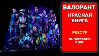 БЛАГОДАРЯ  ТАКИМ ИГРОКАМ  ХОЧЕТСЯ ВОЗВРАЩАТЬСЯ В ВАЛОРАНТ!!!  [ VALORANT \  ВАЛОРАНТ ]