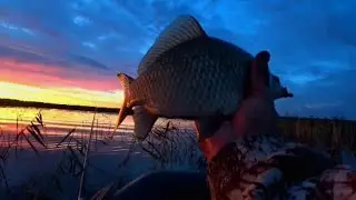 Караси лапти на боковой кивок!!!