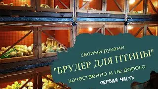 Брудер для цыплят | Как сделать отличный и дешевый брудер? | Часть 1