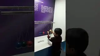 What is Newton's Cradle #shorts #physics #science