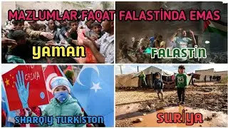 ZULM FAQAT FALASTINDA BO‘LMAYABDI?! 